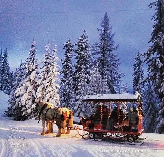 Heavy Duty Horse-Drawn Sleigh With Hydraulic Wheels